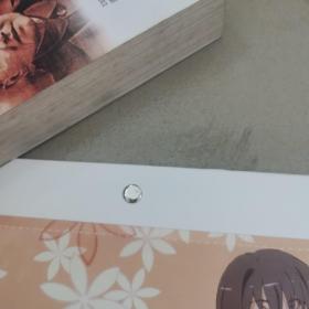 科学超电磁炮，挂历画报