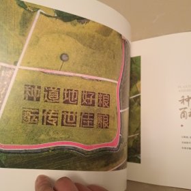 从一粒种子到一滴美酒 :五粮液专用粮基地画册