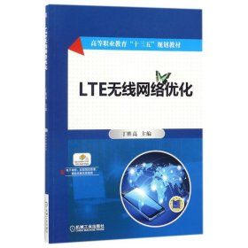 LTE无线网络优化/丁胜高 9787111550693