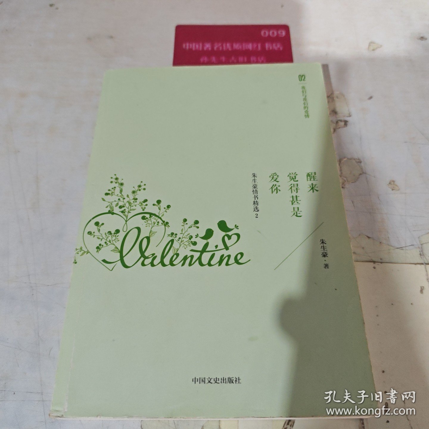 醒来觉得甚是爱你 朱生豪情书精选2