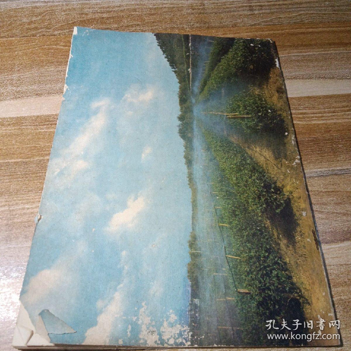 中国茶叶1985年第3期