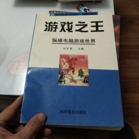 游戏之王：纵横电脑游戏世界