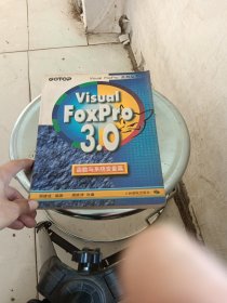 Visual Foxpro 3.0函数与系统变量篇