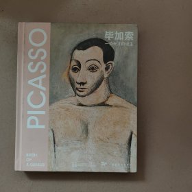 毕加索：一位天才的诞生 精装