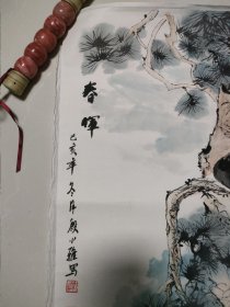 殷小雅 巅峰期精制