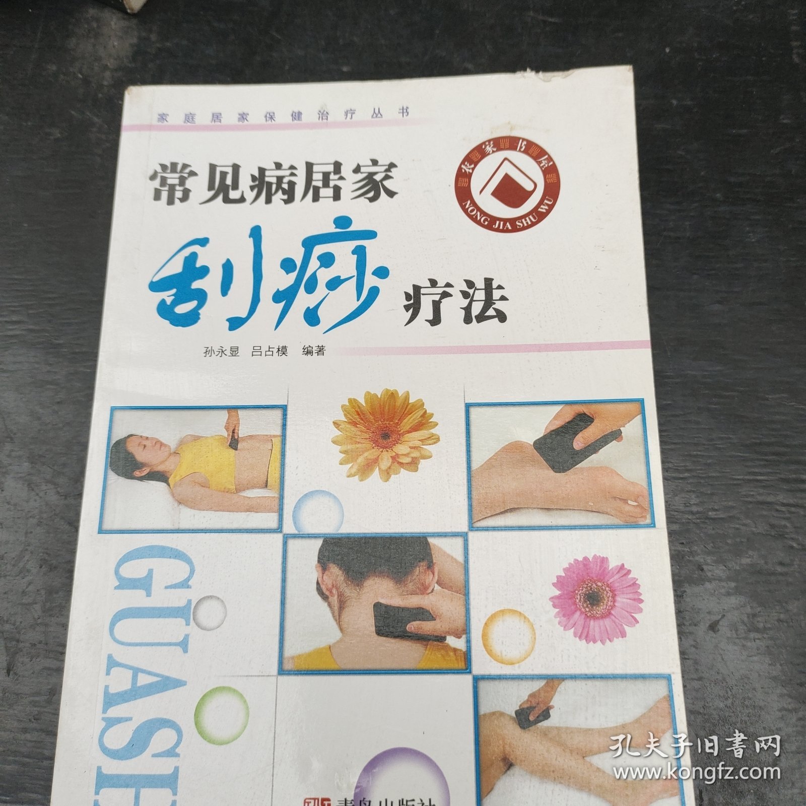 家庭自我保健治疗丛书：刮痧保健治疗图解