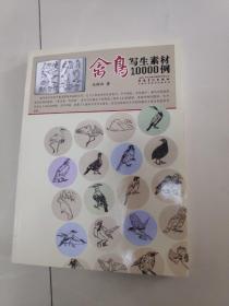 禽鸟写生素材10000例