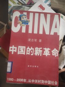 中国的新革命：1980-2006年，从中关村到中国社会