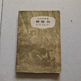 凡尔纳选集 神秘岛（第二部）荒岛上的人