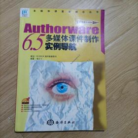 AUTHORWARE6.５多媒体课件制作实例导航——多媒体课堂新概念丛书