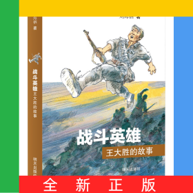战斗英雄王大胜的故事