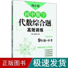 周计划：初中数学代数综合题高效训练（9年级+中考）