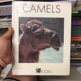 CAMELS 原版外文