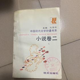 中国现代文学补遗书系小说卷二