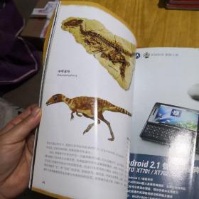 中国国家地理中国恐龙珍藏版