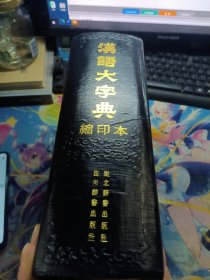 汉语大字典(缩印本) (精装)