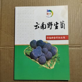 云南野生菌 彩色综合系列丛书