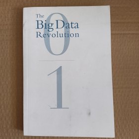 大数据 The Big Data Revolution