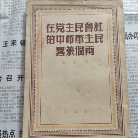 社会民主党在民主革命中的两个策略