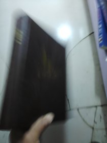 摩诃婆罗多三