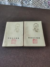 契诃夫小说选上下