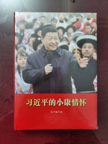 习近平的小康情怀（精装）