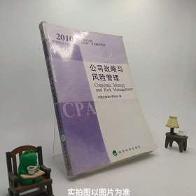 公司战略与风险管理