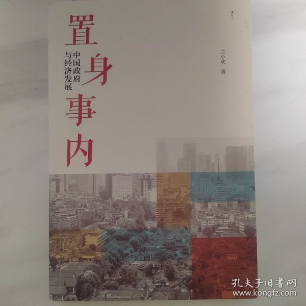 置身事内：中国政府与经济发展（罗永浩、刘格菘、张军、周黎安、王烁联袂推荐，复旦经院“毕业课”）