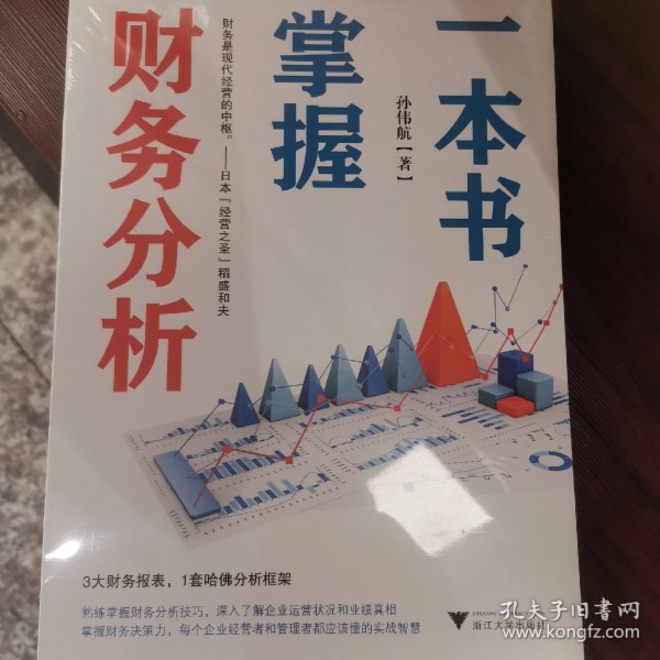 一本书掌握财务分析（拥有财务分析能力，就拥有了财务思维，就能在内部决策和外部投资中获益）