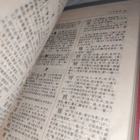 汉语联想字典