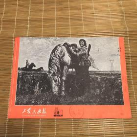 工农兵画报（1976年第5期）馆藏