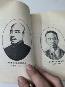 陈氏嫡传蔡李佛五轮槌