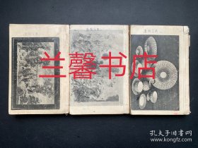 殿版康熙字典（全6册合售 自订成3册 中华民国十五年上海鸿章书局石印）