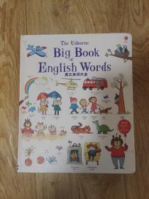 正版英语单词大书精装版专为儿童编写的双语词汇启蒙书 英文单词大全