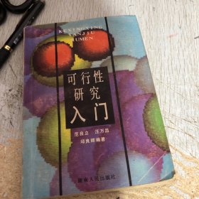 可行性研究入门