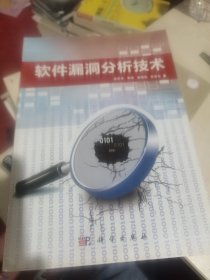 软件漏洞分析技术