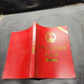 中华人民共和国民法典（大字版32开大字条旨红皮烫金）2020年6月新版