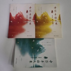 中华手语大系（视听版）（第一辑）（共3册）