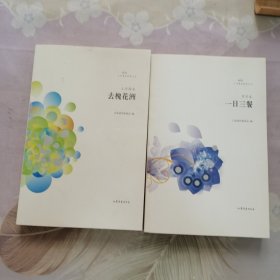 文学鲁军新名文丛：去槐花洲（王秀梅卷）