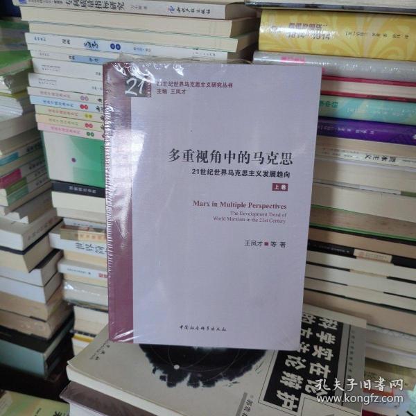 多重视角中的马克思——21世纪世界马克思主义发展趋向-（全二卷）