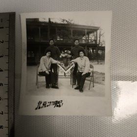 北京动物园儿对拍的照片40