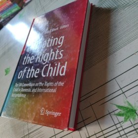 Litigating the Rights of the Child The UN Convention on the Rights of the Child in Domestic and International Jurisprudence