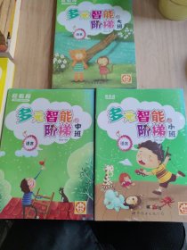 多元智能阶梯：小班，中班，大班