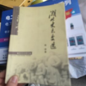 湖北史志文选