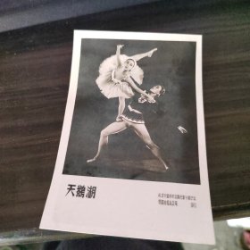 卡片：天鹅湖 贵阳美术公司印行 照片纸 8号册