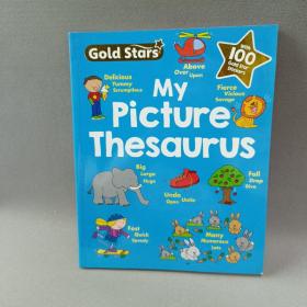 英文原版 My Picture Thesaurus