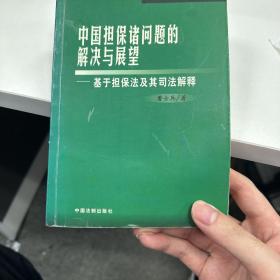 中国担保诸问题的解决与展望