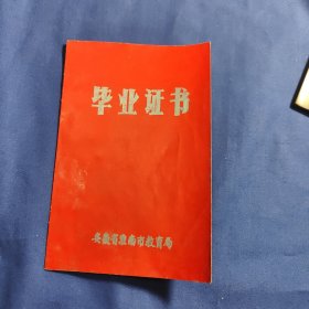 小学毕业证书