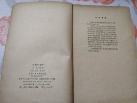 核桃的故事（红小兵故事丛书）