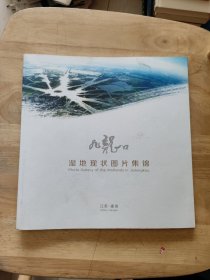 九龙口湿地现状图片集锦